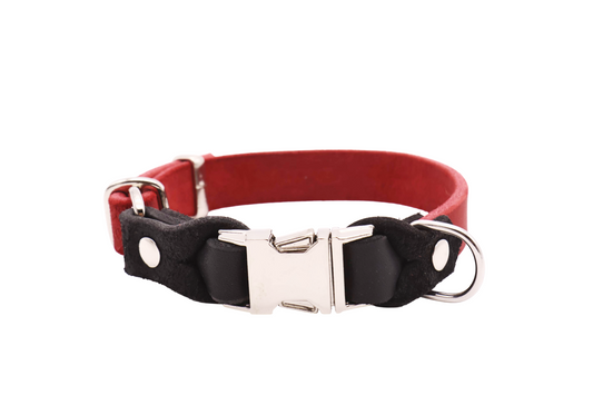 Regular Leder Halsband