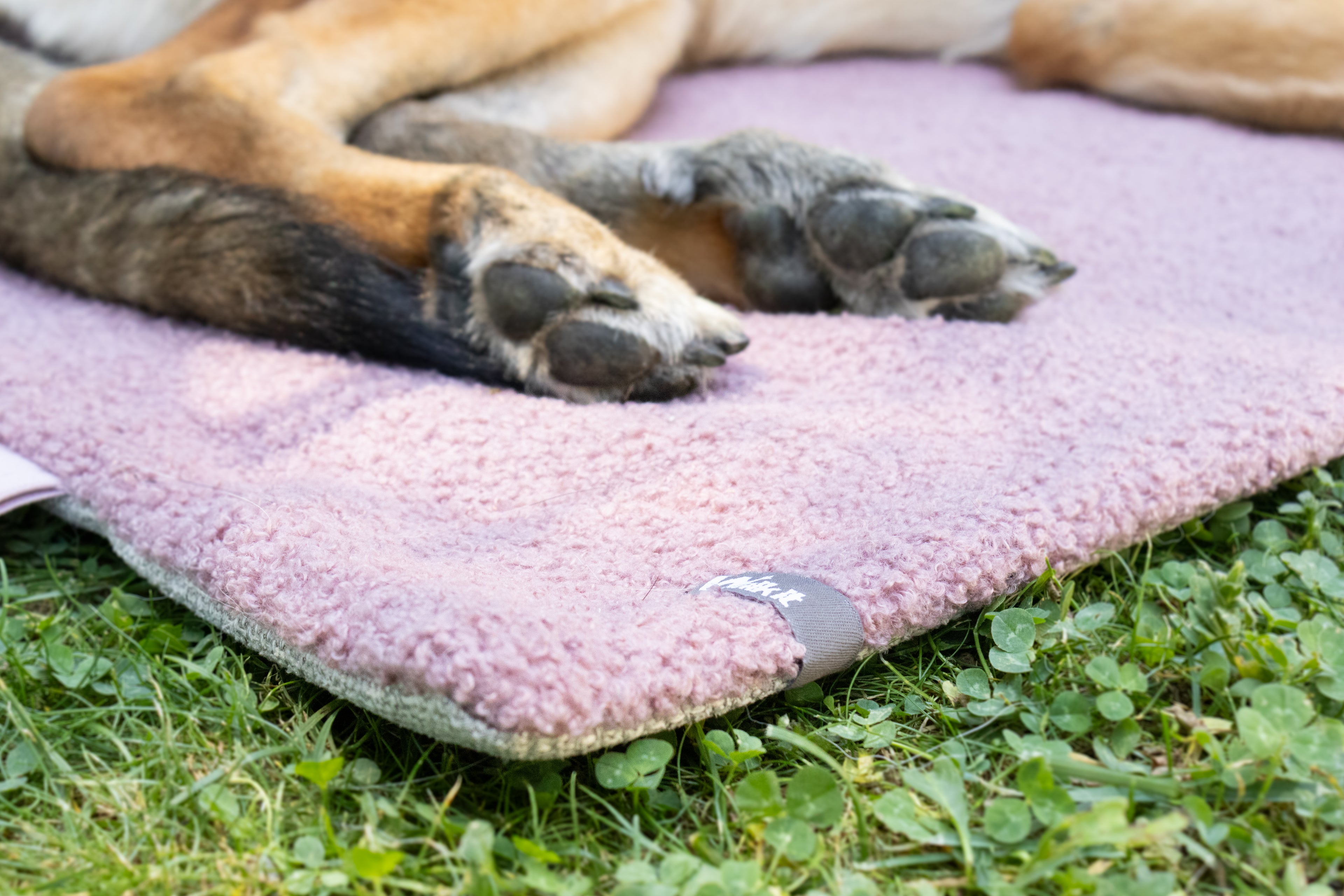 Hundedecke ToGo Teddystoff - Custom