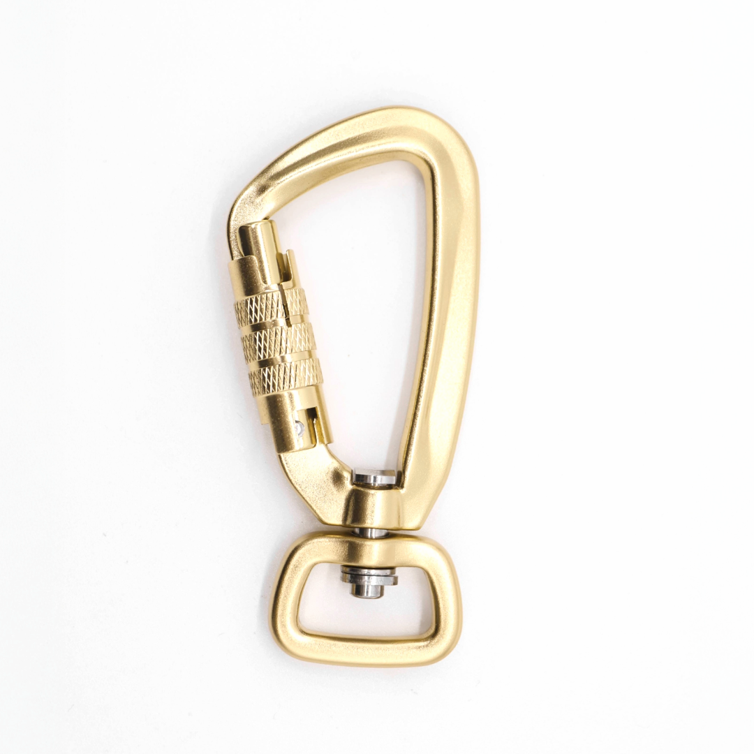 Sicherheitskarabiner Gold